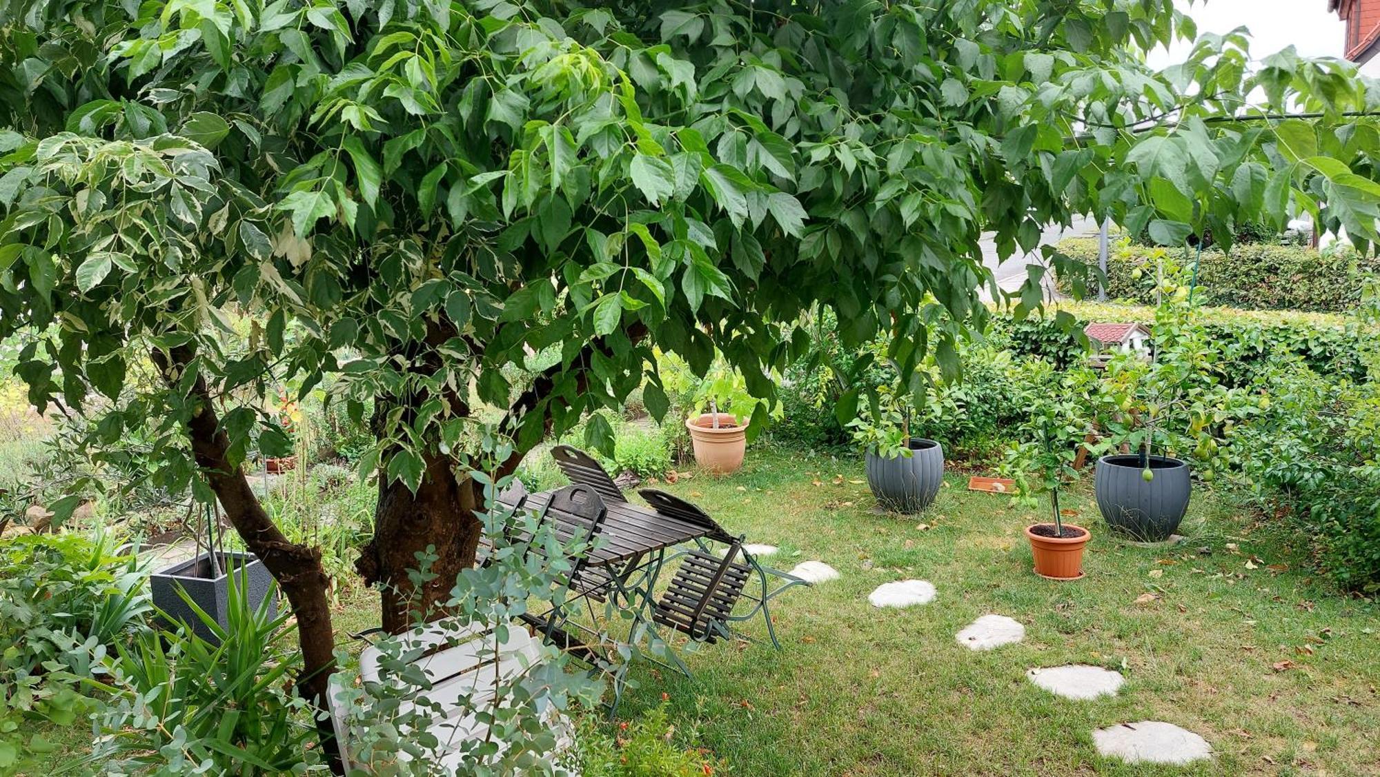 Villa Lotte ليشتنفلز المظهر الخارجي الصورة